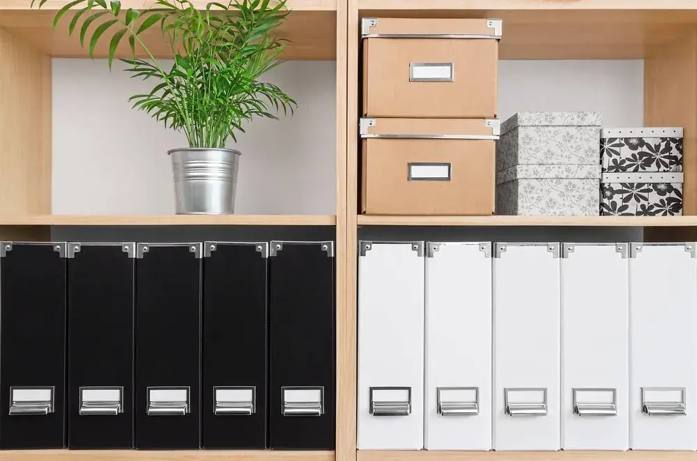 Black and white archive files arranged on office shelving